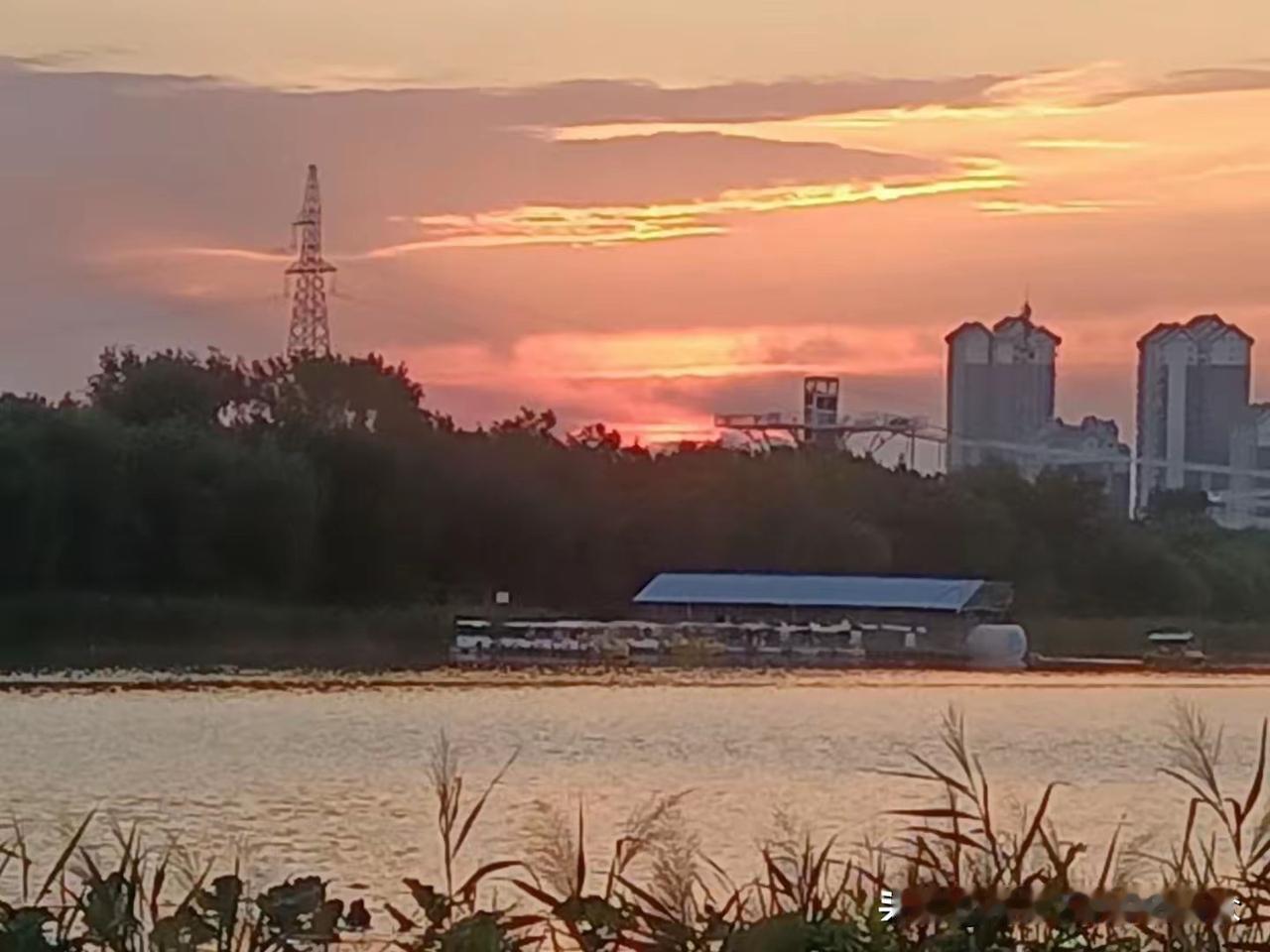 中国当下最要紧做的两件事：1．对内立规：对贪腐、毒教材、伪专家、拐卖人口、毒