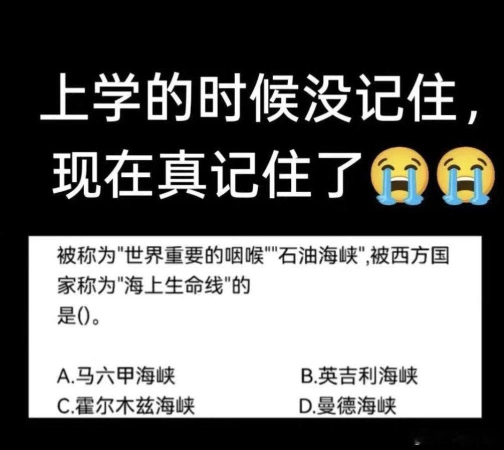 这次是真记住了