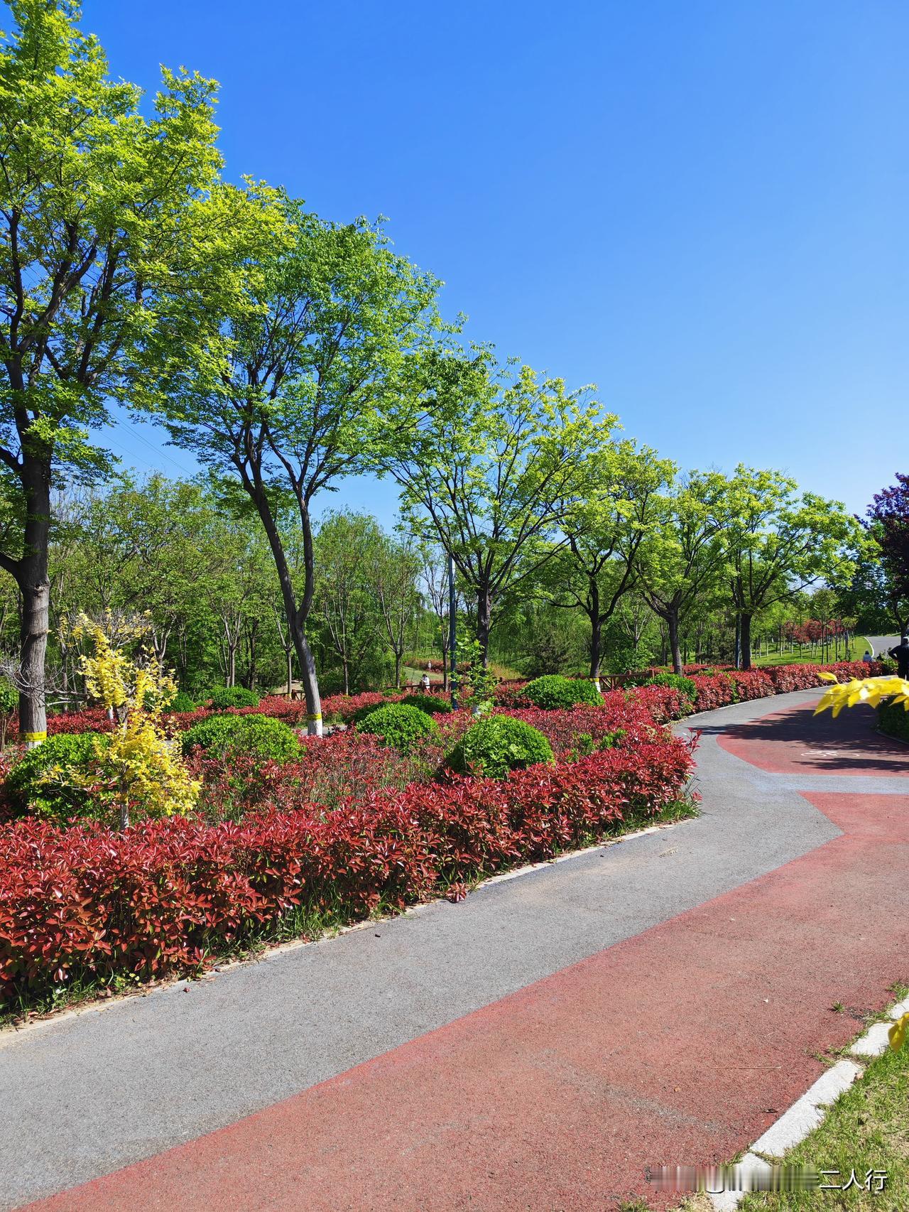 正准备去养老院陪爸妈。刚出小区大门就遇到小学同学。她在我家小区对面的小区