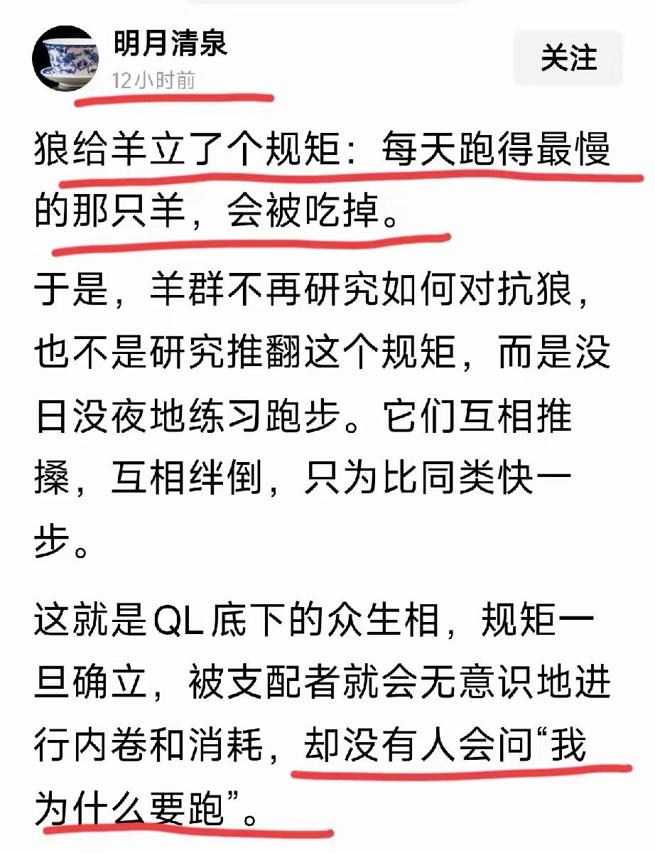 不生也是一种善良。不婚更是一种幸福。