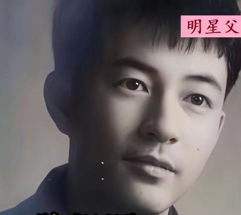 哪个爸爸最帅，哪个儿子最帅，图1是陈赫的爸爸，图2是谢霆锋的爸爸，图3是金城武的