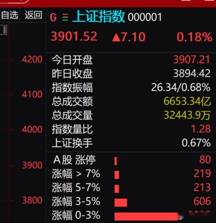 昨天这根阴线下来，没那么快可以消化的，还是需要时间，大盘今天可以收再3900点上
