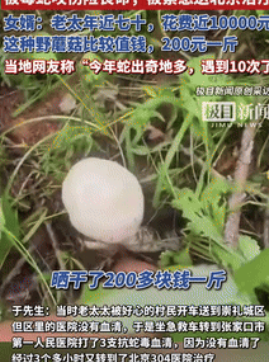 代价太大了！河北张家口，一老太太为了赚钱，进山采200元1斤的野蘑菇，谁料，过程