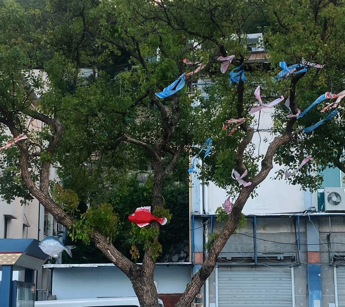前几天去看我姑妈，快中秋了，她住在敬老院。她眼睛不怎么好，可我们一进门叫了声“姑