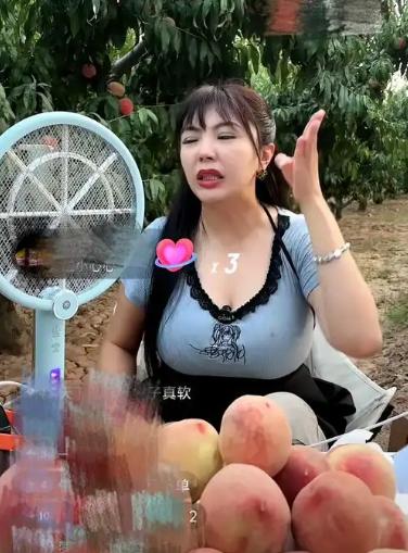 台胞小网红刘乐妍近日发表的一番言论引发讨论。她表示：“为什么我越往大陆农村走，越
