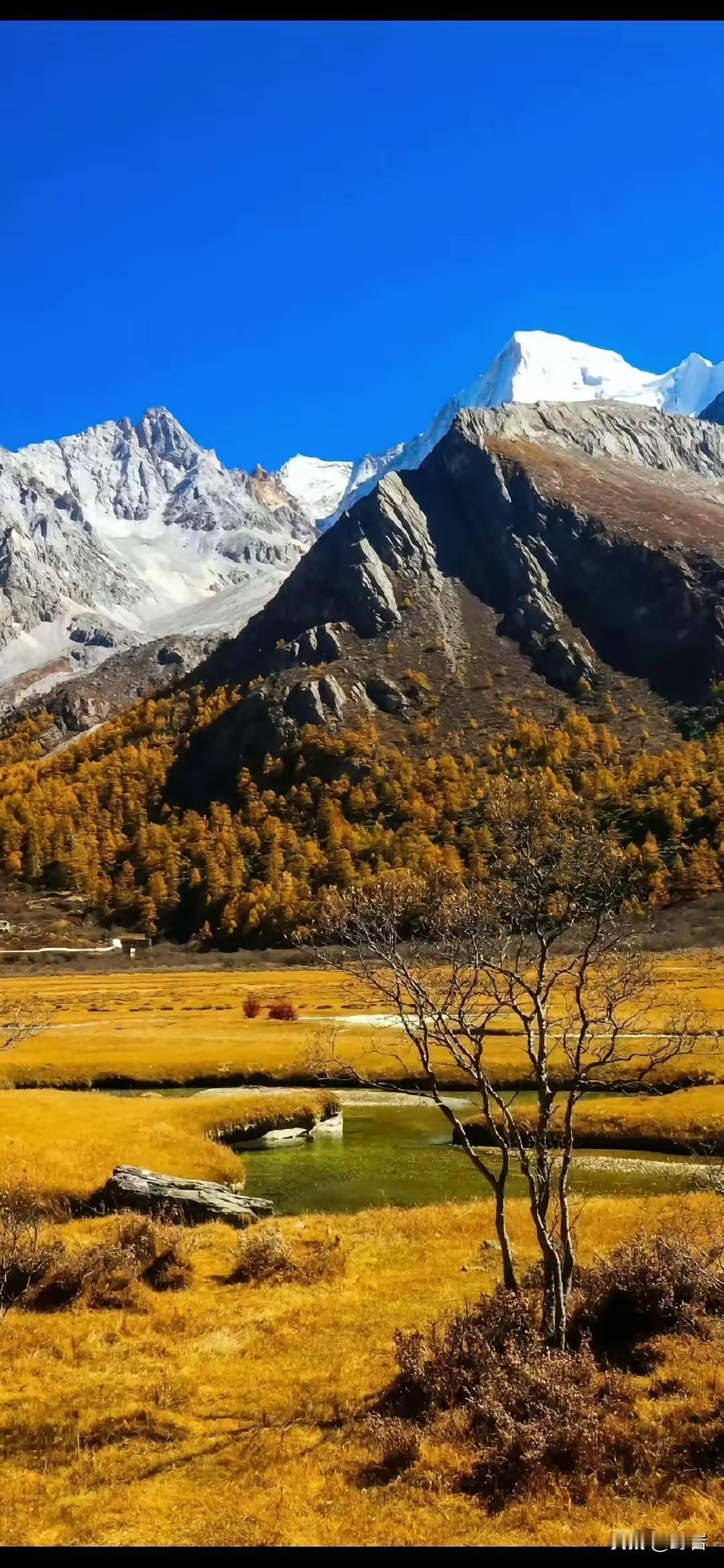 女人一定要守住的10条底线，越早明白越好第一，个人证件绝不外借。身份证、