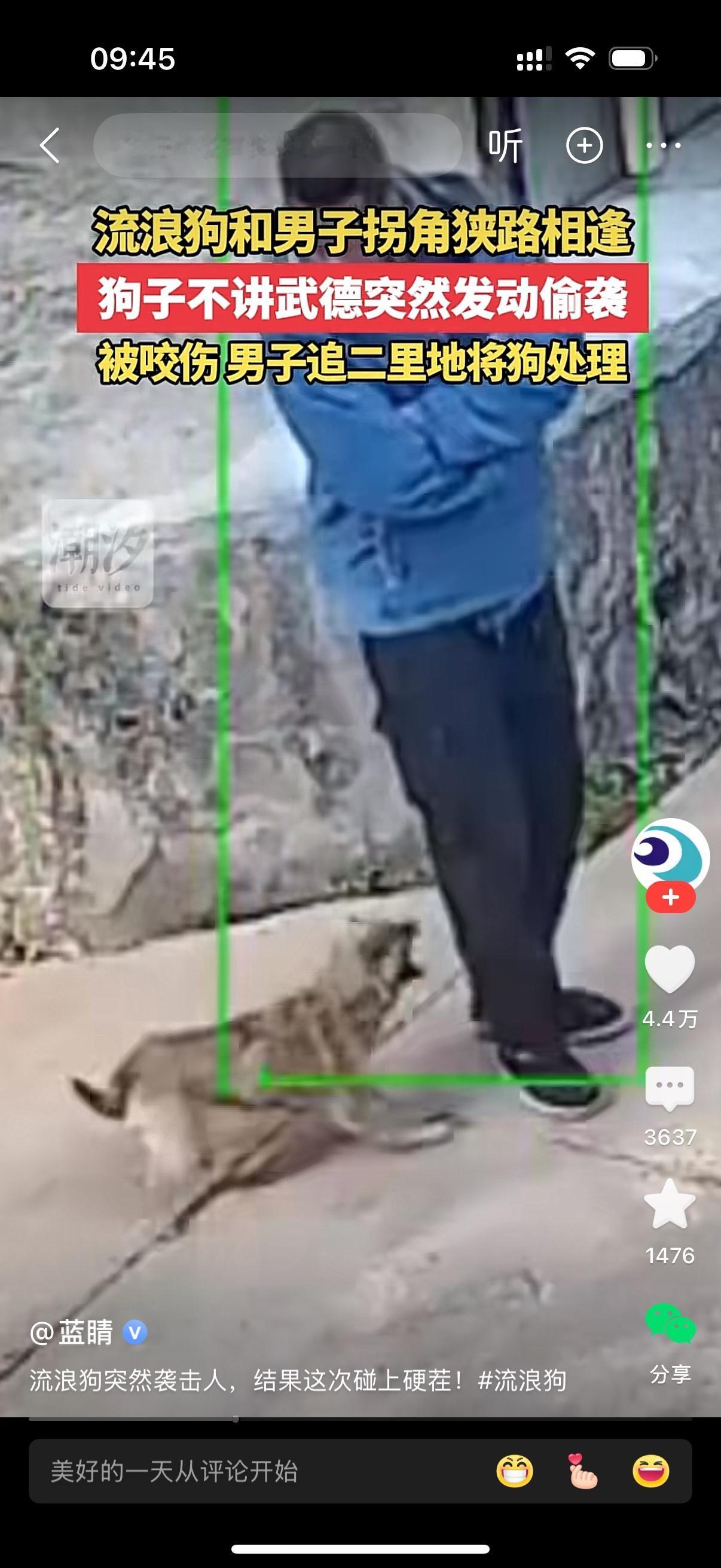 咱就是说，江湖行走讲究一个武德，可这只流浪狗是半点儿规矩都不讲！一男子在路上走着