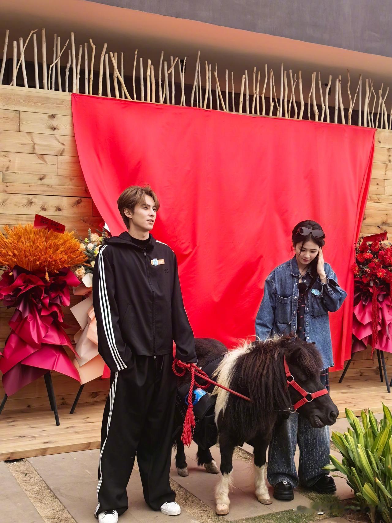 近日，芒果老牌综艺《亲爱的客栈2026》在海南开始录制，作为前三季主理人的刘涛却