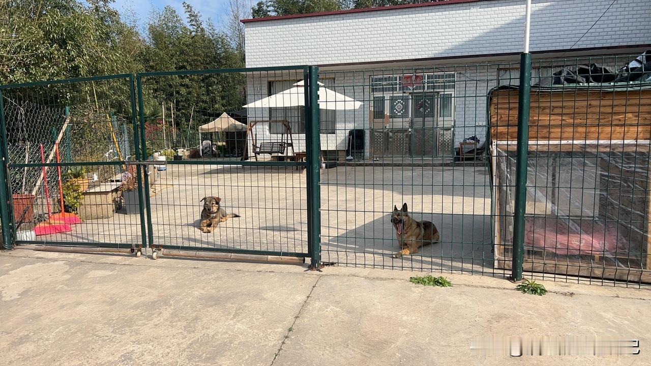 退休后在农村租农家小院养老合适吗？我认为并不适合！租农家小院，其实应该是在身强