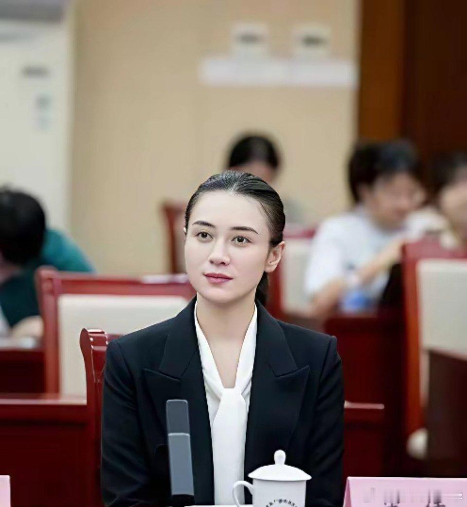 瞧啊，镜头里的宋佳身着正装，端坐在代表席位上，桌上还摆着名牌。不认识宋佳的人，恐