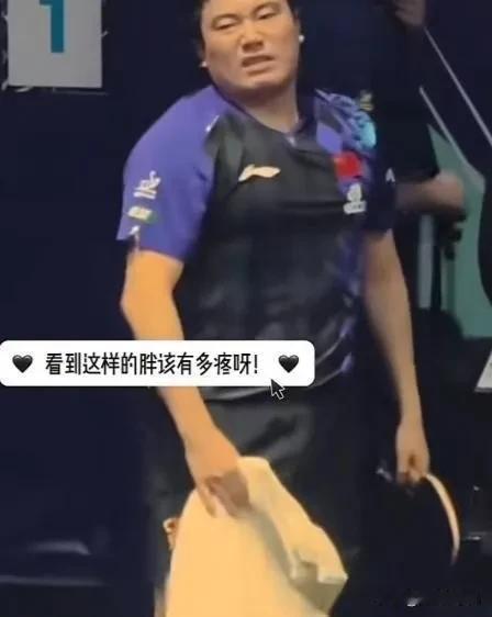 这次，伦敦乒乓球赛，男队打得如此艰难，惊心动魄，每天想看，不敢看。心想如果樊振东