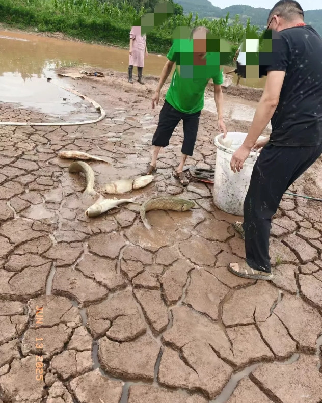 今年四川太干旱，引用专家的话说，百年难遇干旱！你要说没下雨吧！它端午节还下了