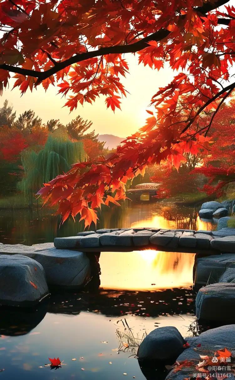 心宽，才是最好的生活秘诀人这一辈子，活的就是个心态，说得再直白点，心宽一寸