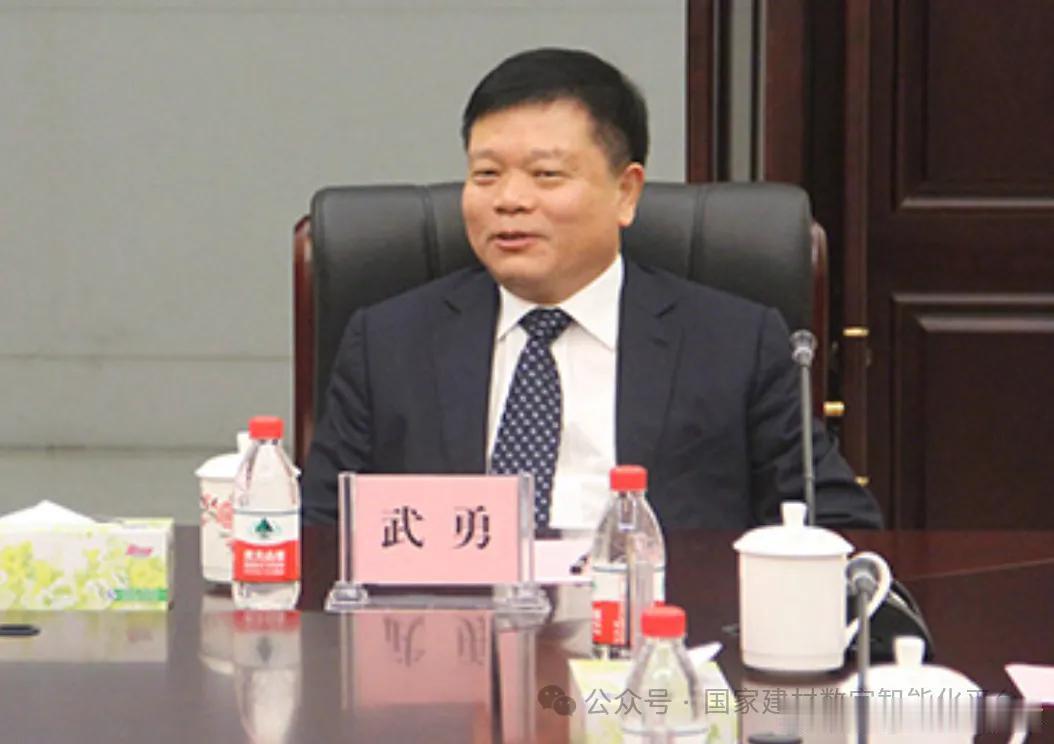 微博知名博主中央纪委国家监委网站通报，武勇被查广州爆料反腐倡廉国家建材数字智
