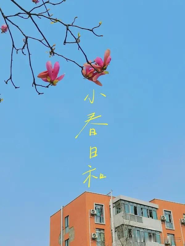 现在楼市里面短炒的那些人还是挣钱了。就拿这个小阳春来说。很多短炒的人都是只持