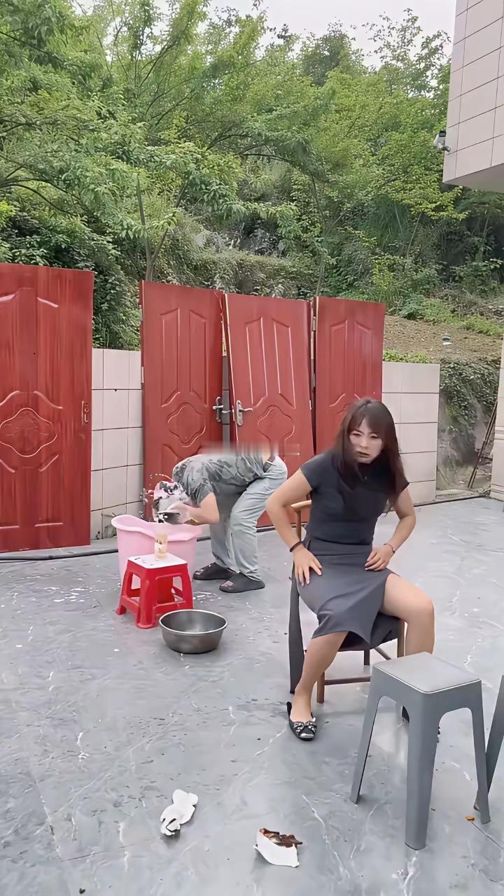 狗狗美容中，主人认真观察有人。