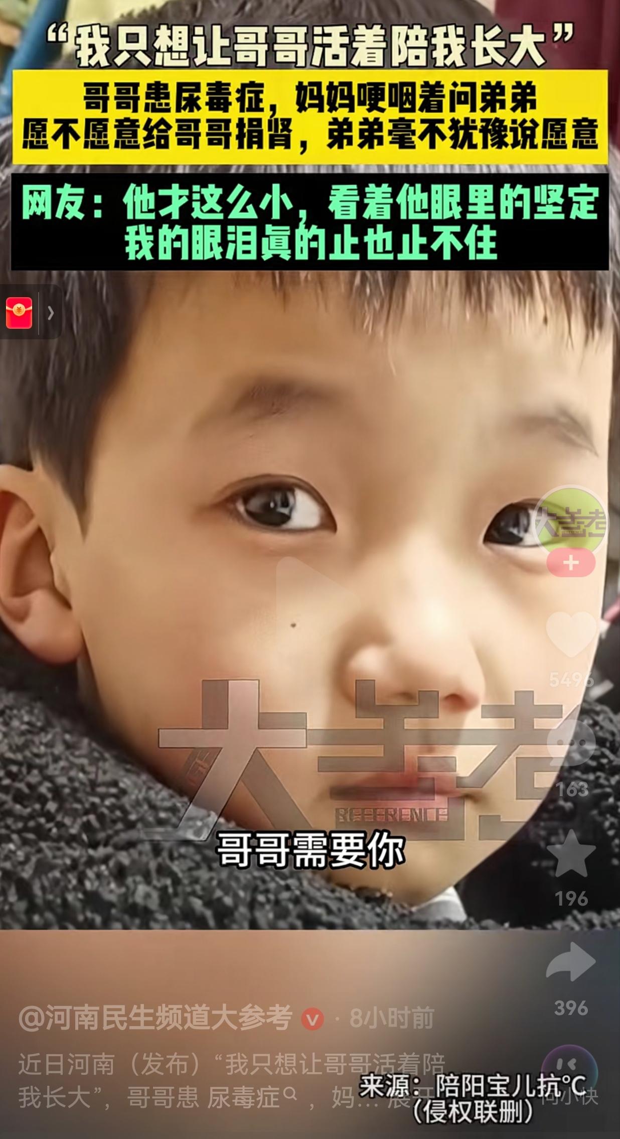 看哭了！这是血浓于水的亲情呀！河南，哥哥身患尿毒症，为了让哥哥活下去。妈妈