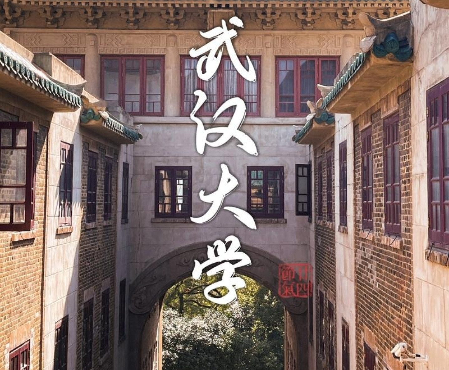 武汉大学杨景媛前几天还在说自己感觉很好，结果今天武汉大学的top1领导因为她被换掉了。不知道她会不会