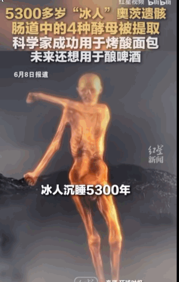 太猎奇了！在意大利和奥地利边境的阿尔卑斯山区，一具沉睡了5300年的冰川木乃伊“