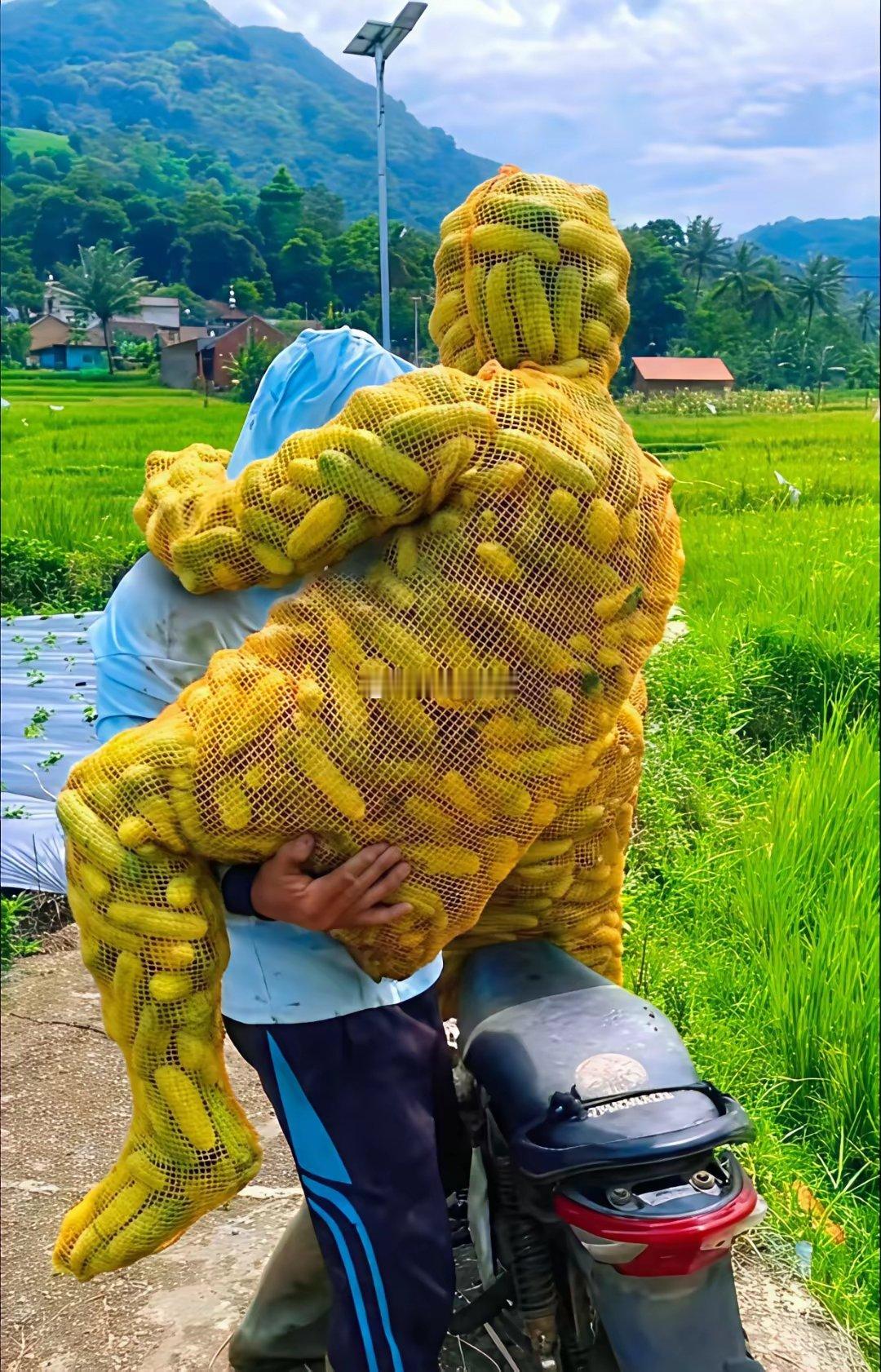 这袋子是正经地方买的吗？
