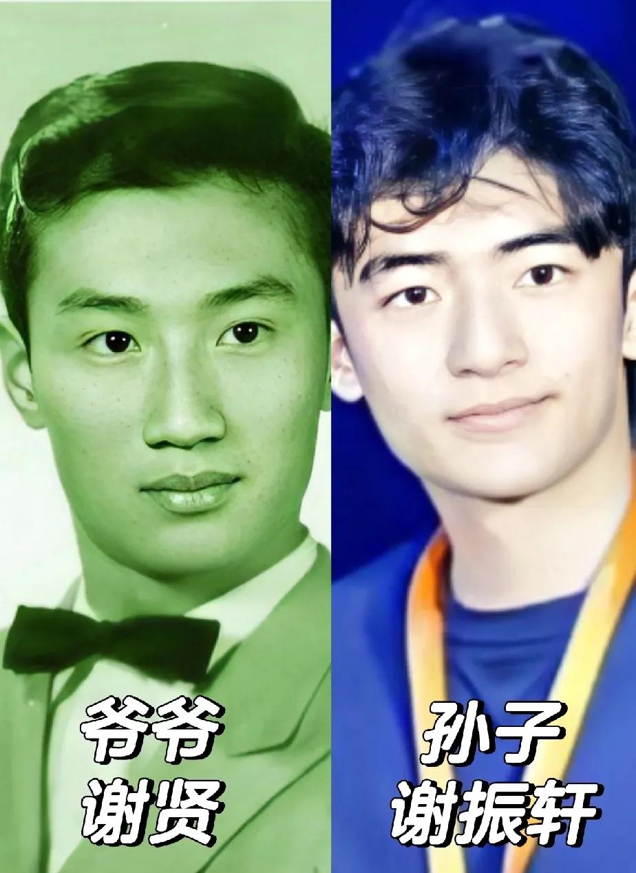 破案了，谢霆锋儿子最像的原来是苗侨伟！他长相硬朗，稳重，一脸正气，这种长相气