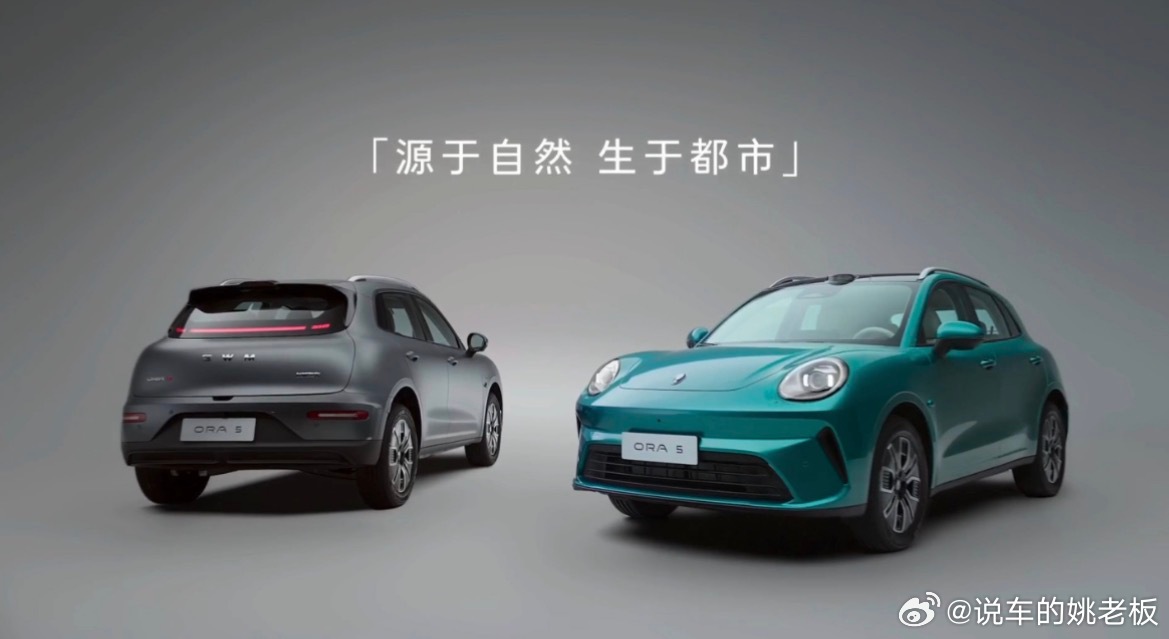 兄弟们！欧拉5这台A级纯电SUV，把自然美学玩到点子上了！车身全是曲面，没一根硬