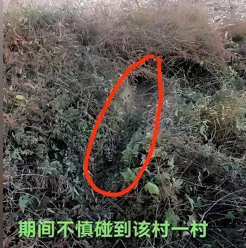 为啥非要从人家祖坟里过呢？