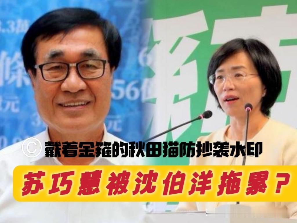 沈伯洋拖累苏巧慧？黄士修毒舌点评新北民调：苏巧慧跟沈伯洋绑一起，这不是自讨苦吃