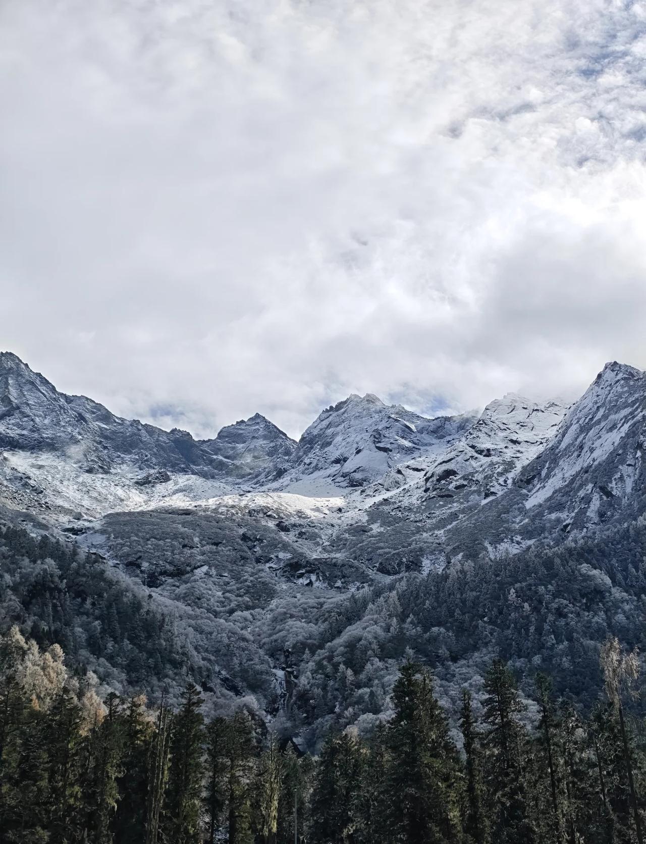 毕棚沟，下雪了11月15日，来毕棚沟了好巧不巧，赶上了下雪🌨也赶上了交通