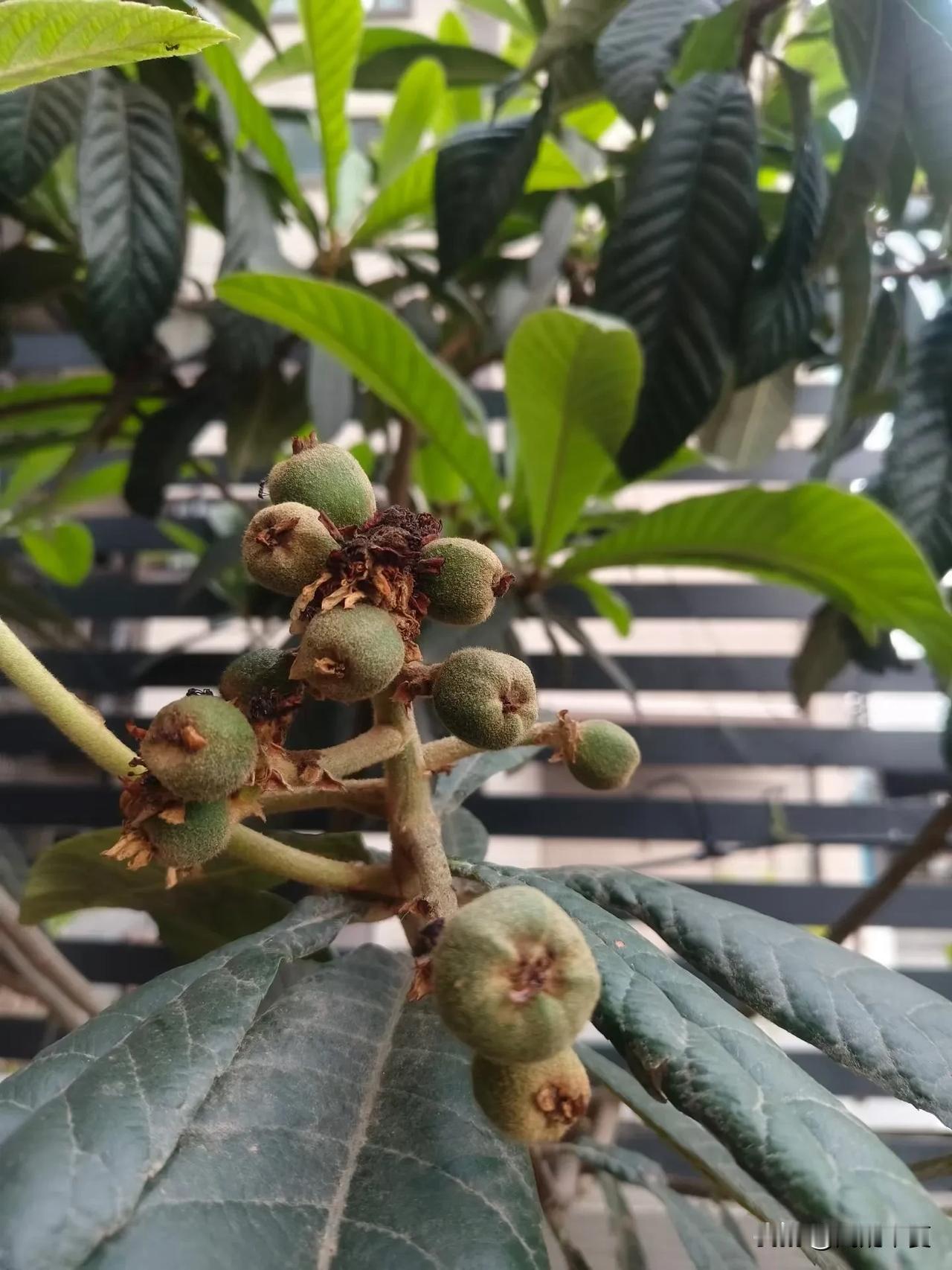 婆媳相处，最好的分寸是“互相尊重，互不越界”。在婚姻里，除了夫妻关系，婆媳