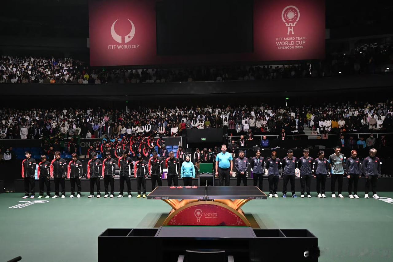 成都混团中国队和香港队入场，为香港火灾罹难者默哀一分钟。中国队入场，看到莎莎