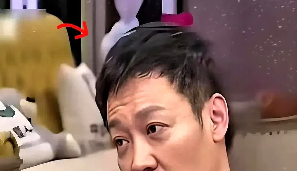 辛柏青和媛媛2006年领证，后因为吵架分开，辛柏青气跑去找李乃文哭诉。李