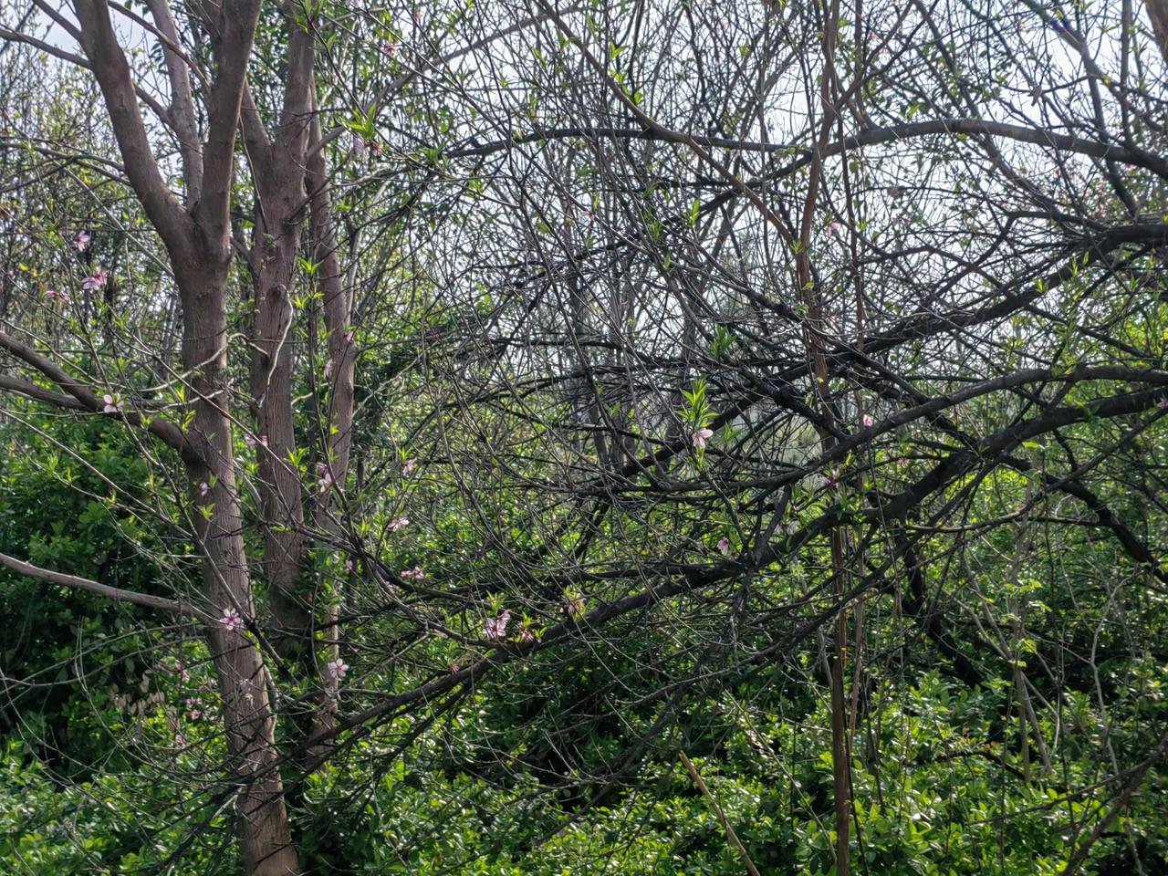 “成则为王，败则为寇”是有道理的。项羽“成”功了之后，火烧阿房宫，报复屠杀秦王