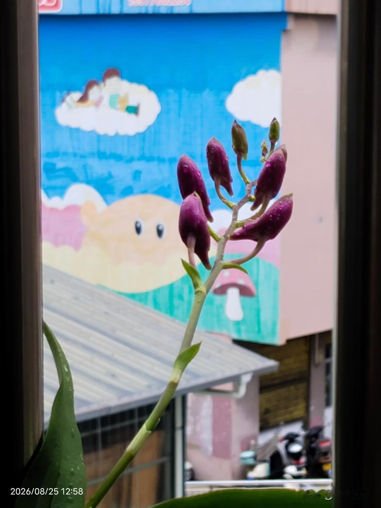 一位经济学家非常现实的话：现在社会，说白了就五条路可走：1．吃“皇粮”：考公、考
