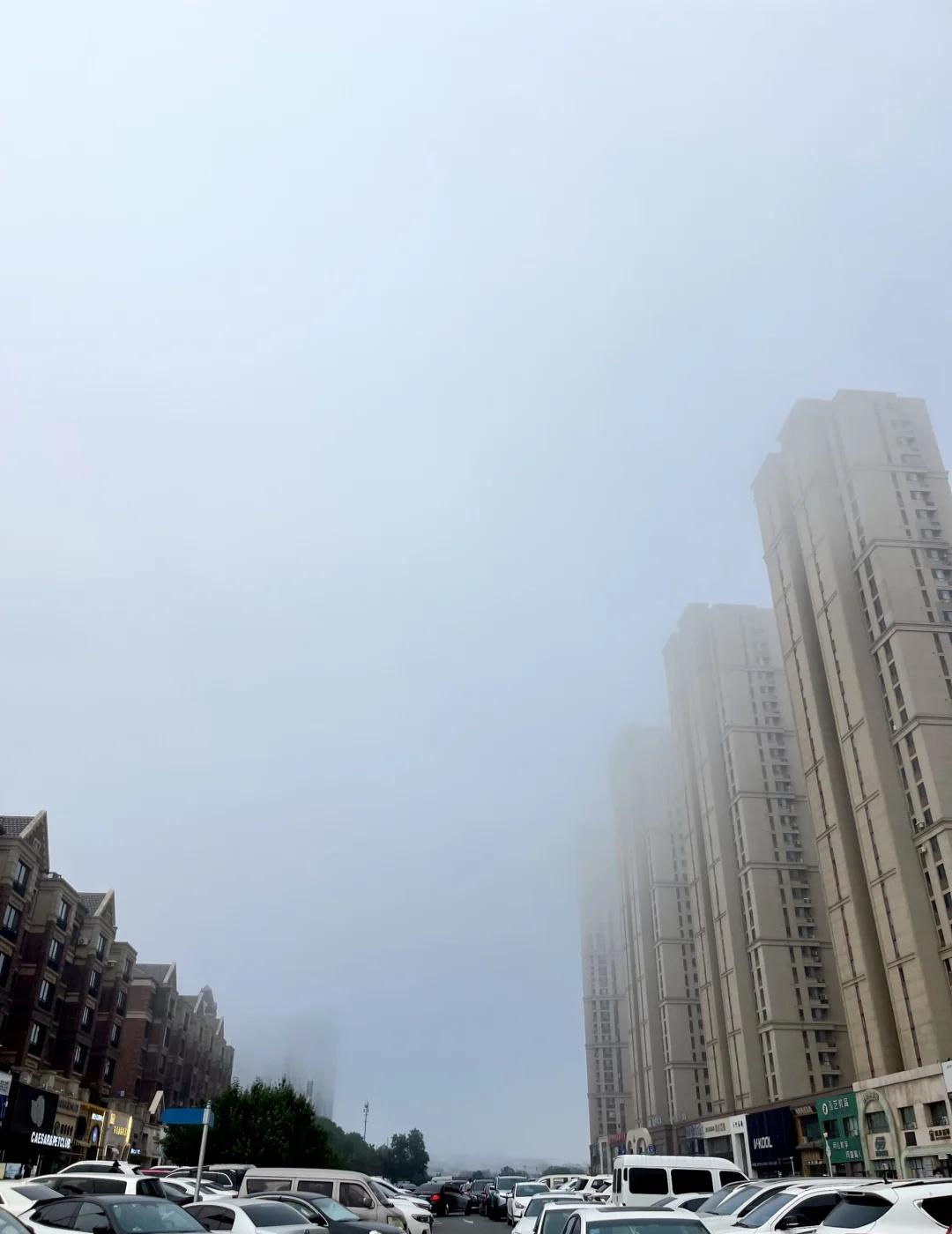大连你改名叫伦敦吧刚晴了没几天，这又开始雾气腾腾的，要下雨啊还是要变身啊？🥲
