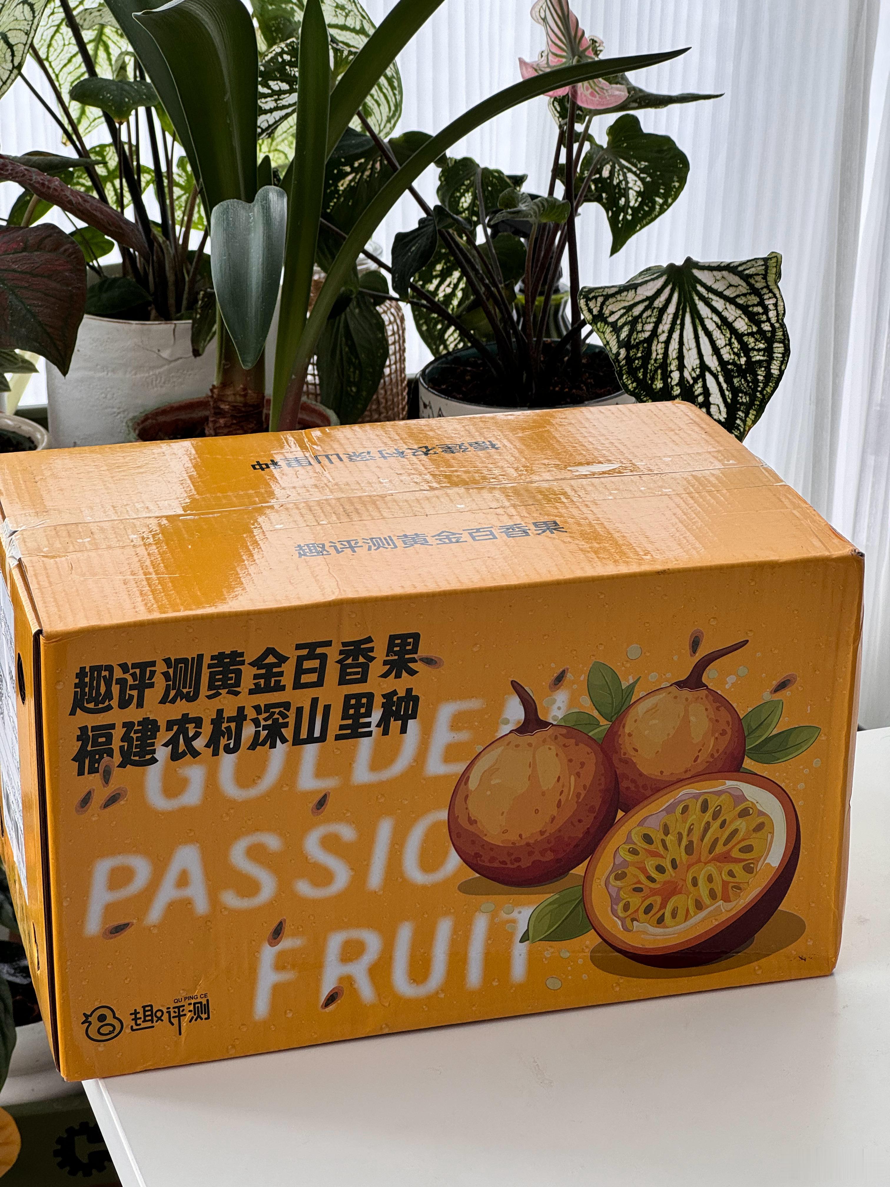 家的百香果终于到啦，没想到这么大，新鲜得很，酸酸甜甜太开胃了！拿了两个给白猪看看