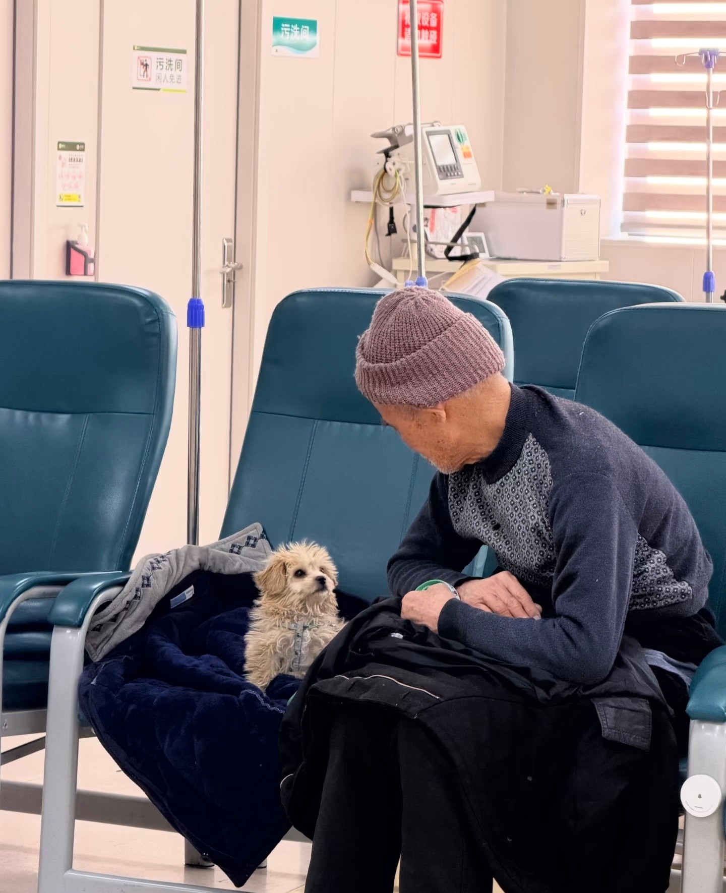 爷爷和他的小狗，虽然爷爷是来打狂犬疫苗的