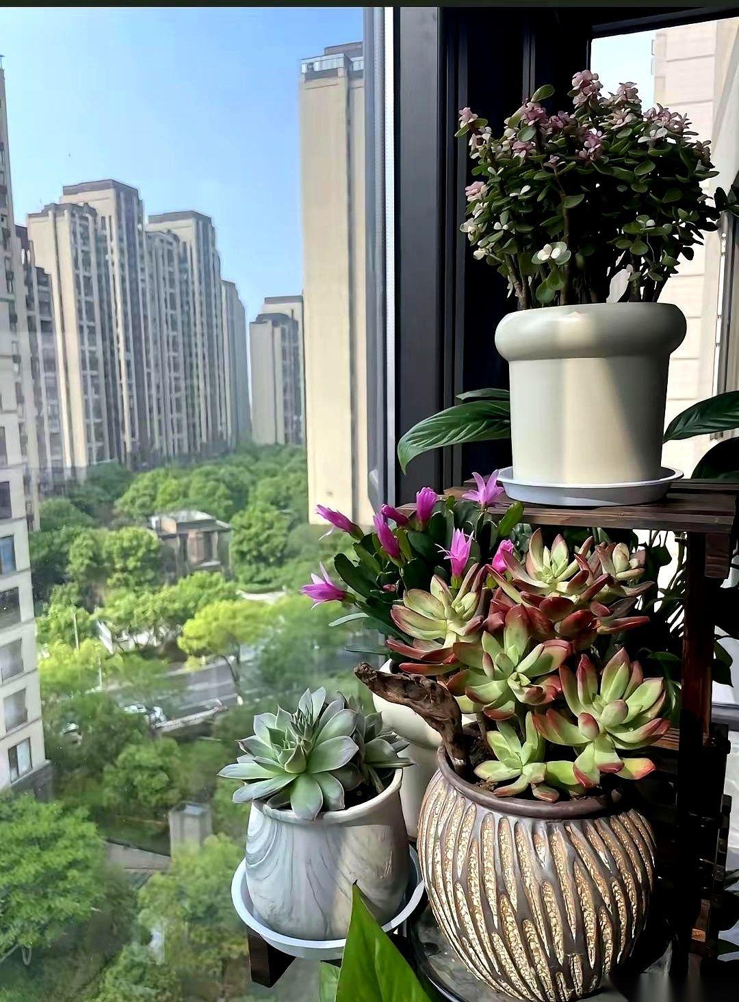 我一个长辈，65岁，前阵子干了件特“离谱”的事。把住了半辈子的三居室卖了，跟老