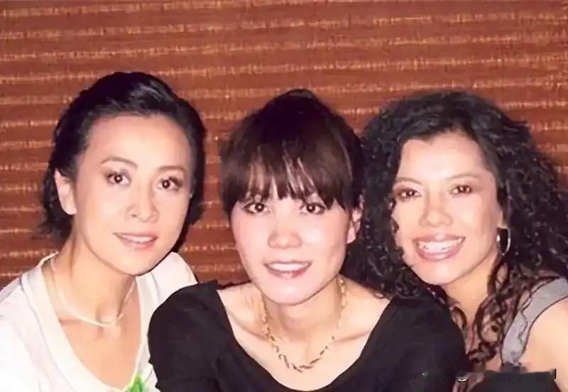赵姨娘年轻时在娱乐圈的履历还是挺不错的，她是沈阳音乐学院科班出身的歌手。赵姨