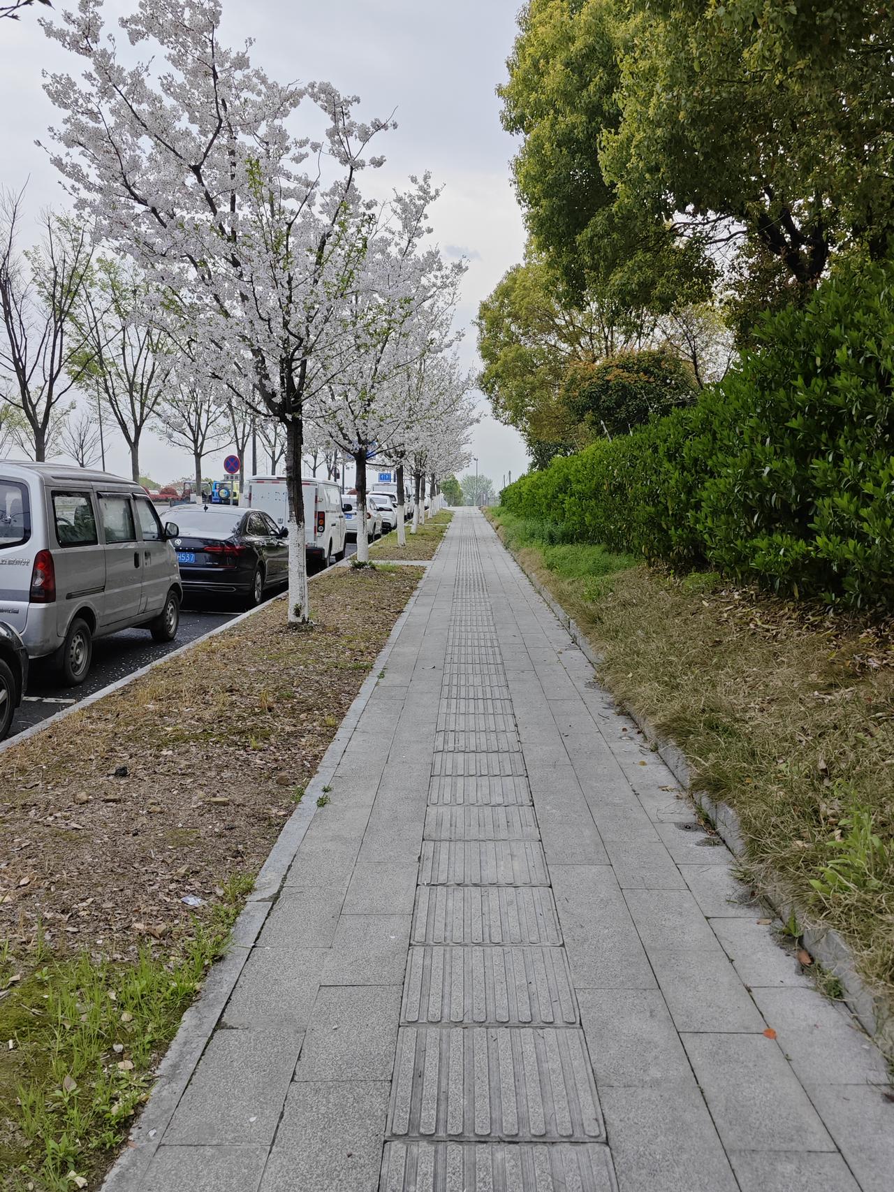 养生大反转！2026年最顶级的续命法，竟然是学会“懒”和“傻”！别再交智商税