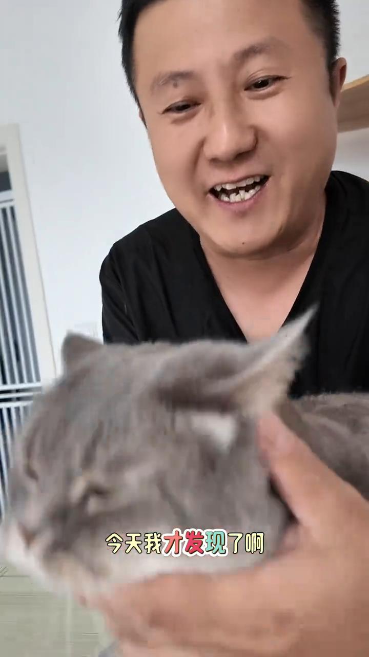 养了这么长时间猫，养了好多年猫，今天我才发现了。·看这个猫，有大长的胡须，还有