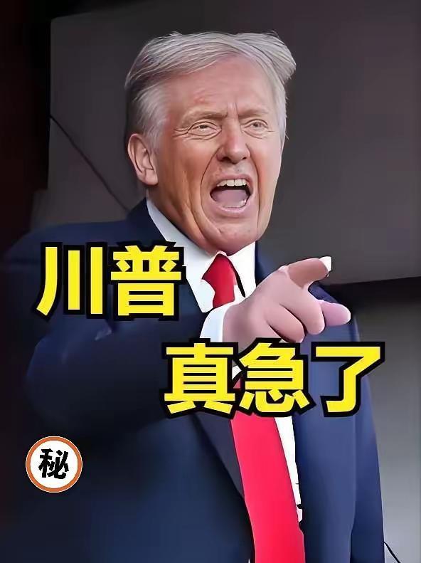 中国最近对荷兰玩了一招漂亮的反制手段，直接卡住芯片公司的脖子。之前荷兰想趁着美国