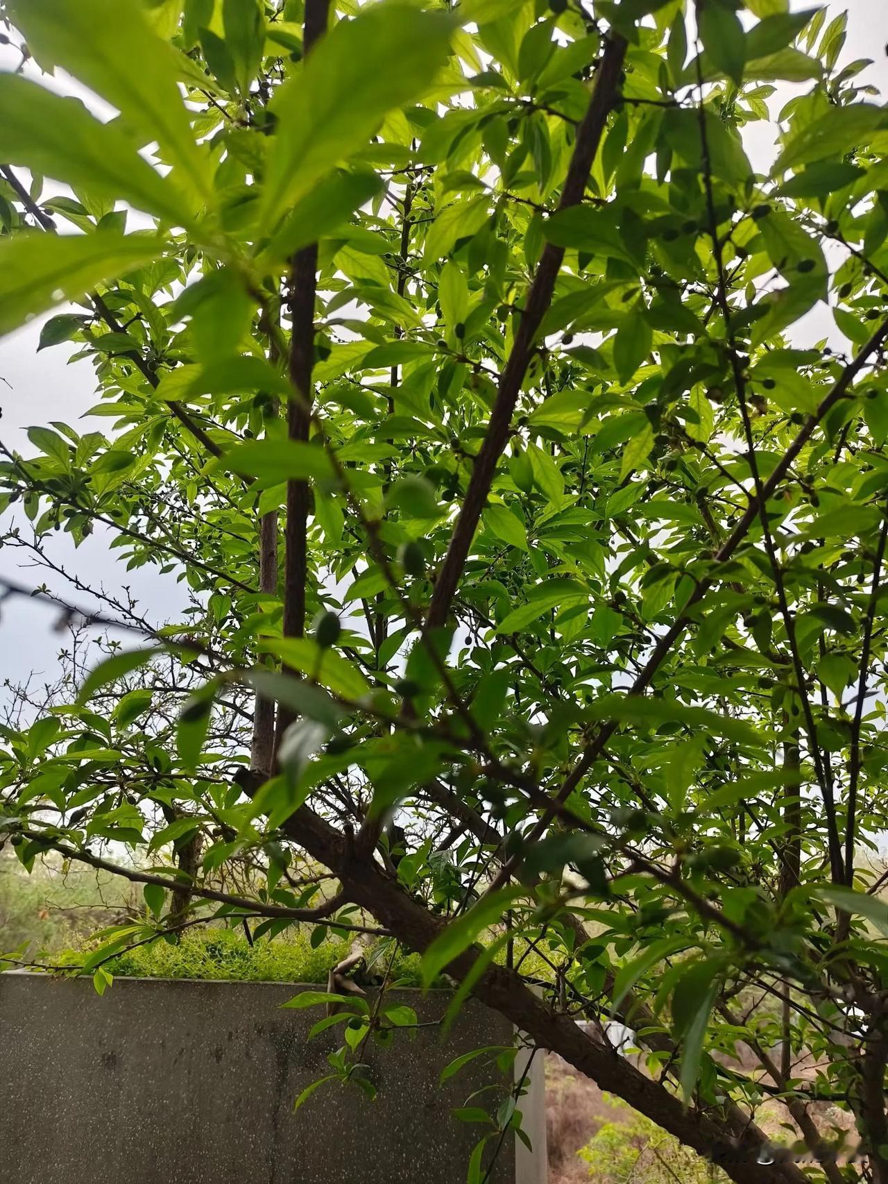 人到中年才懂得：婚姻，其实就是和脾气过日子年轻时总以为婚姻是靠浪漫过日子，