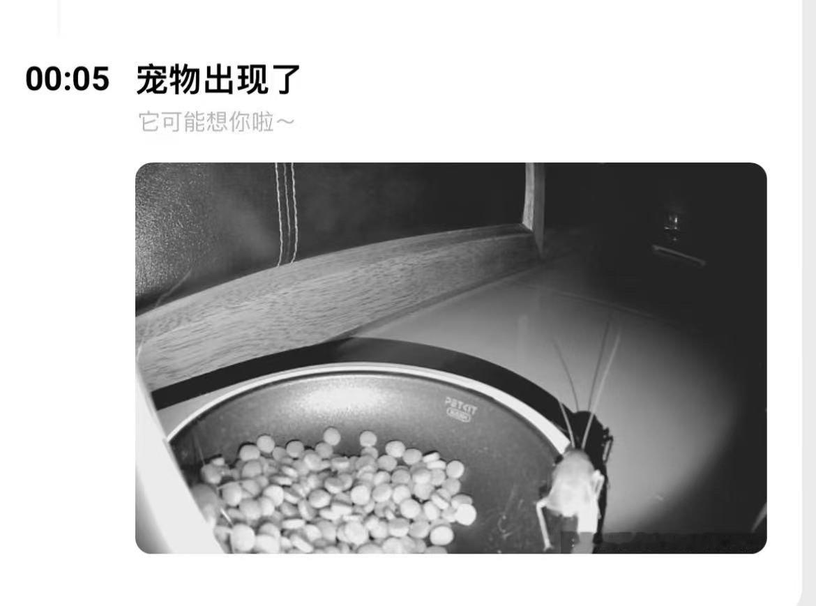 它可能想你啦～​​​