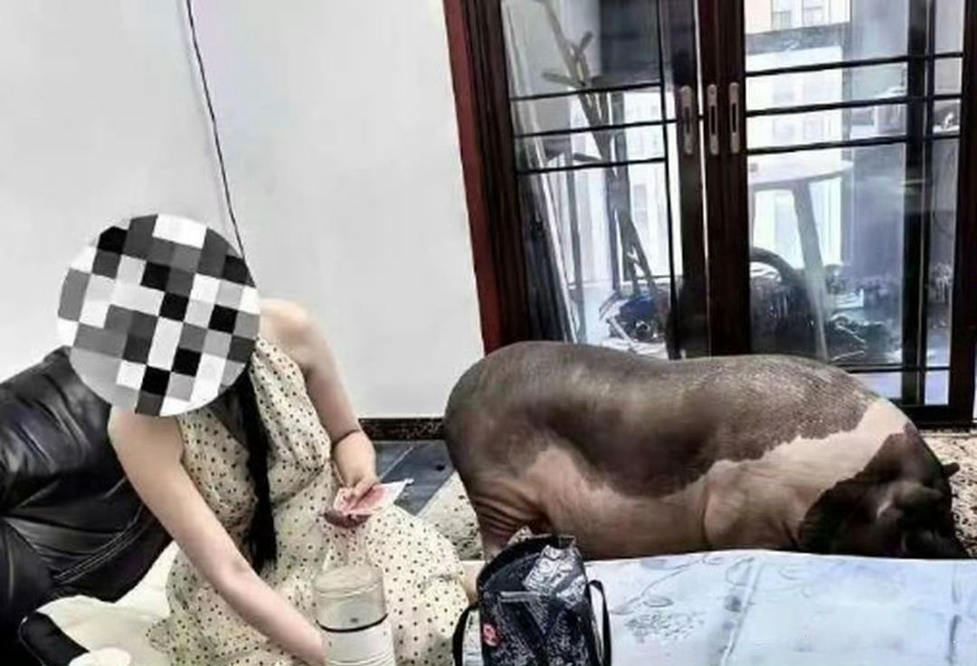 这样的家，我是一刻都呆不下去了!