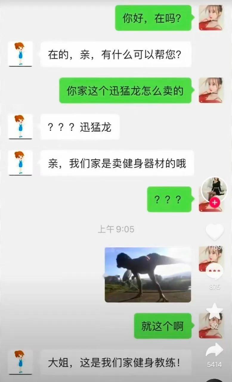 你家迅猛龙怎么卖？