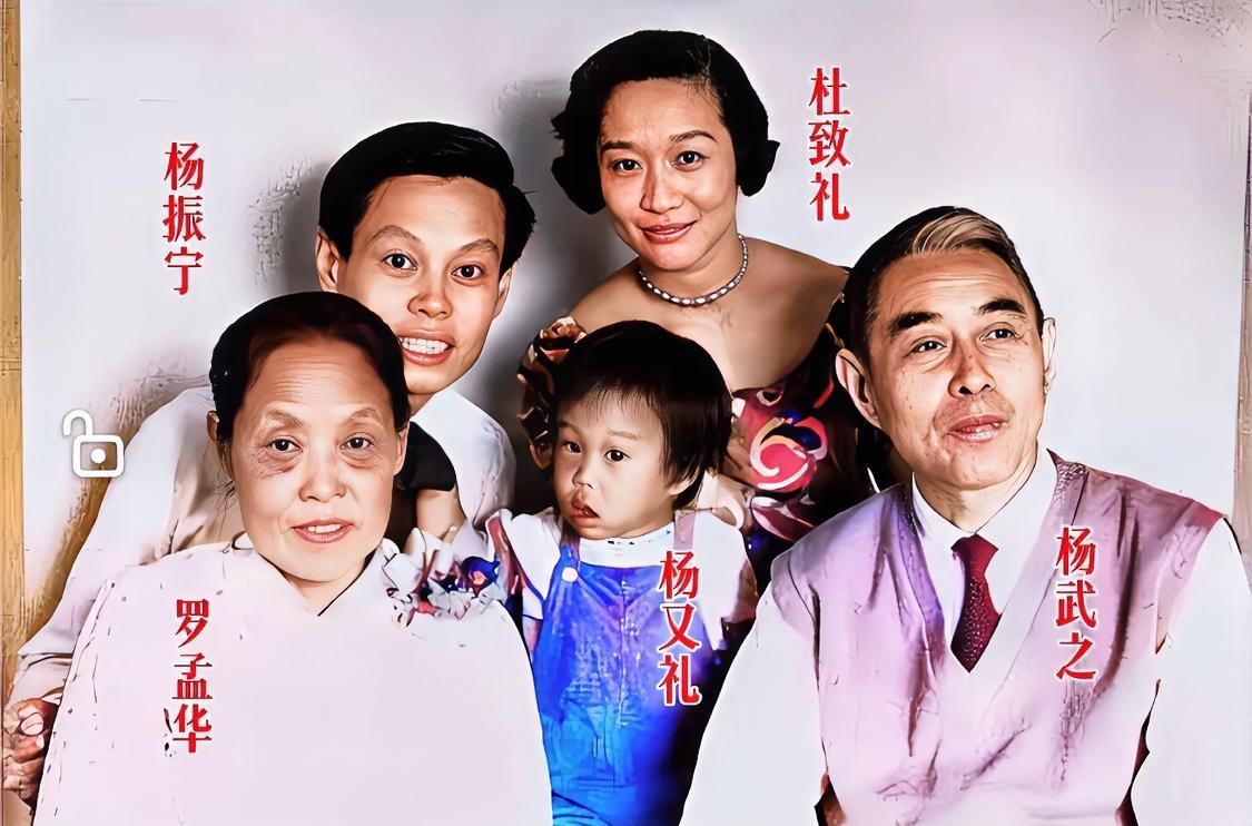 杨振宁的“学霸基因”有多强？看他的家人就知道了杨振宁的父亲是杨武之，母亲是罗孟