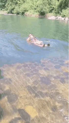 哦豁，这下子该怎么给学员解释好