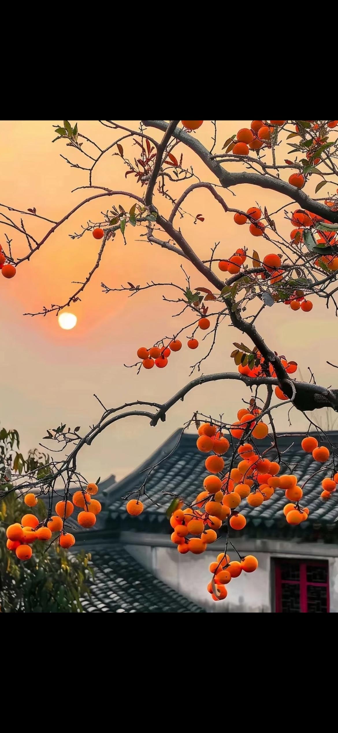 真的太懂这位北京老爸的心酸了！养出211女儿本是全家的光，想着毕业能搭把手扛家，