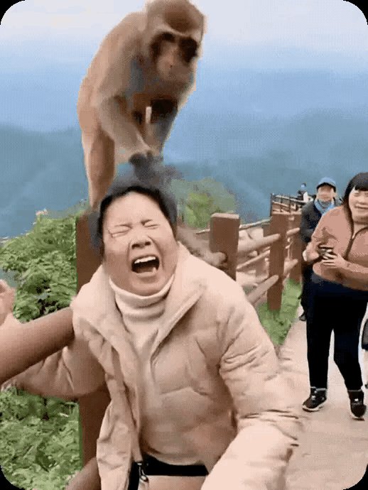 一位阿姨去景区旅游，在景区顺着栏杆游玩时。一只猕猴站到了她身后，伸手拽扯阿姨的头